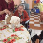 Pet Therapy nelle case di riposo Villa Del Sole