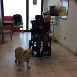 pet therapy nelle case di riposo Bologna