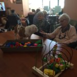 casa riposo bologna dog therapy