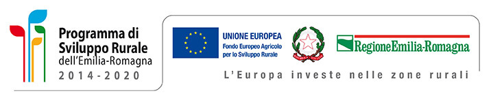 Unione Europea - Regione Emilia Romagna